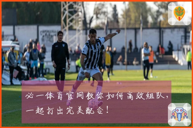 必一体育官网教你如何高效组队，一起打出完美配合！